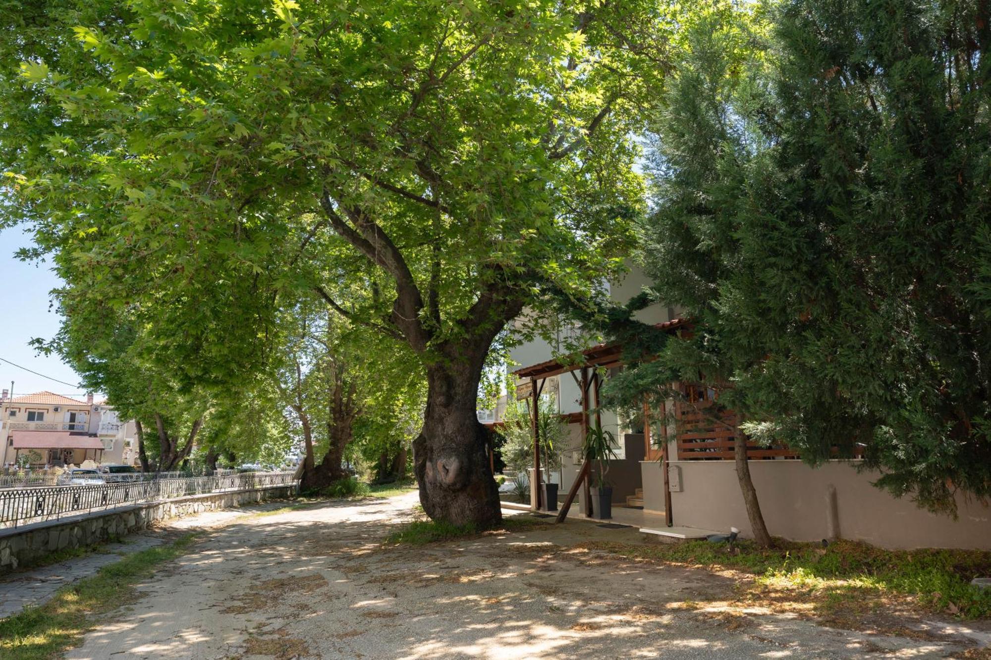 Kipos Resort Néa Péramos Exterior foto